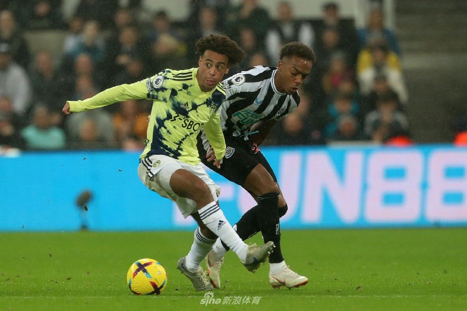 展现出的 展现出的