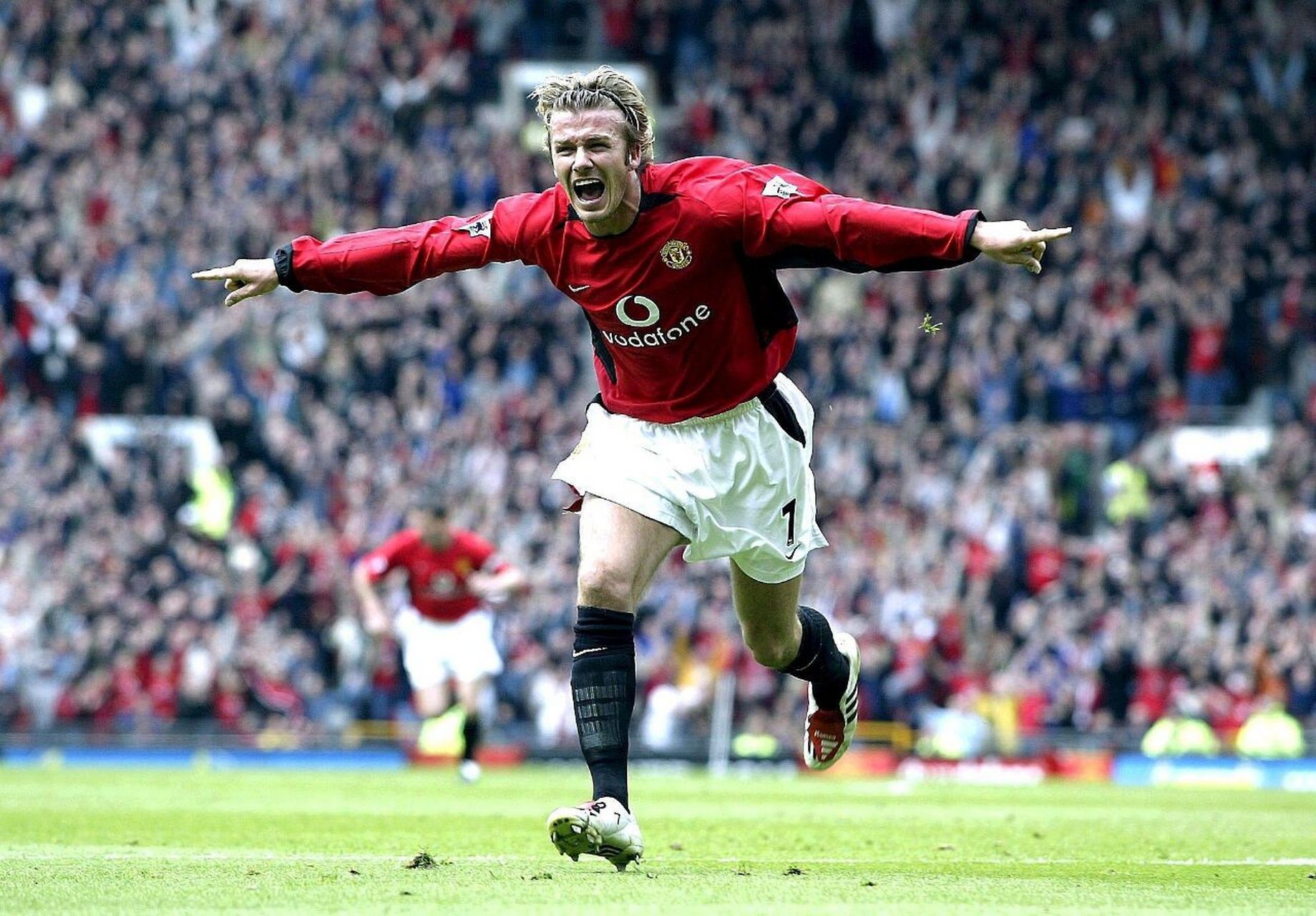 击形成了鲜 击形成了鲜